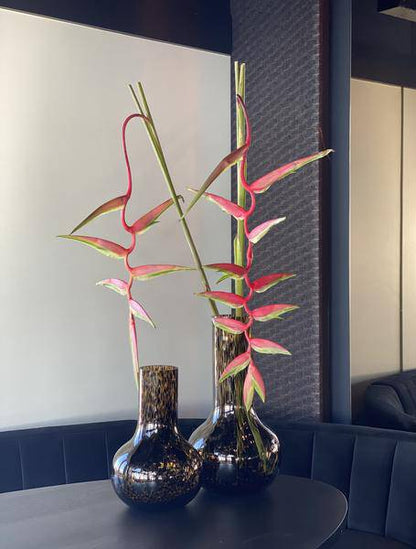 Vase Glas - S - H37 B25 - Seim - Gepard 