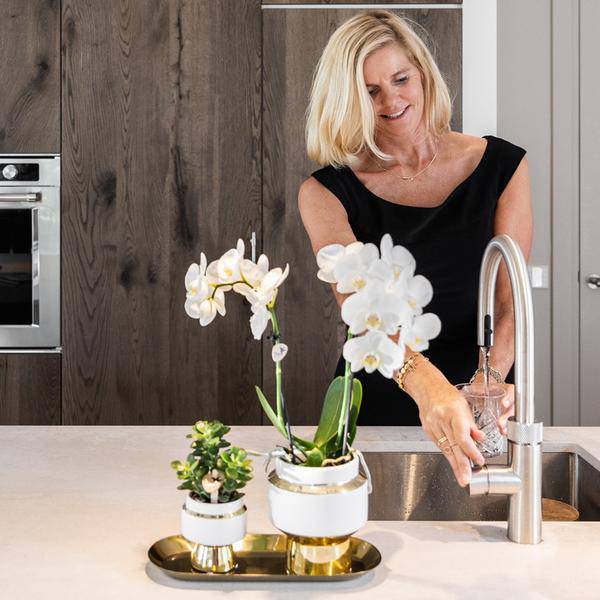 Pflanzenset – Weiße Orchidee & Sukkulente im goldenen Deko-Set – Inklusive Le Chic Ziertöpfen & Tablett – Elegante Zimmerpflanzen-Kombi 