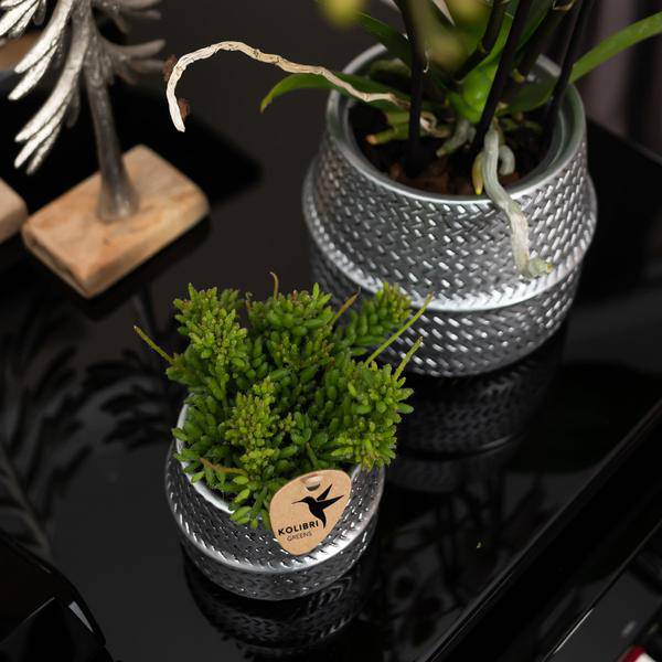 Blumentopf Rille – Gold – Ø6cm – Kleiner Keramik-Ziertopf mit Rillenstruktur – Matte Oberfläche – Für Mini-Pflanzen & Sukkulenten – Dekotopf für Wohnzimmer & Büro 