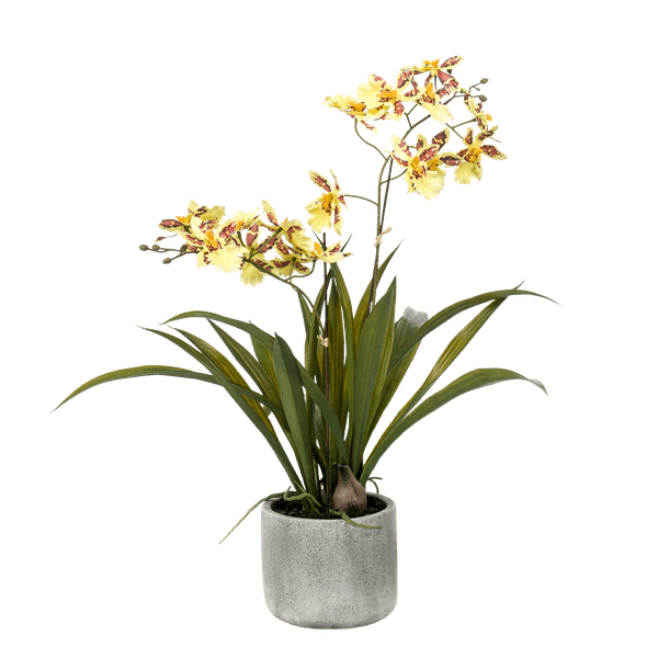 Kunstpflanze - Orchidee - Gelb - ↨45cm 