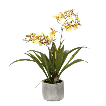 Kunstpflanze - Orchidee - Gelb - ↨45cm 