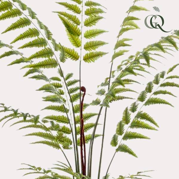 Kunstpflanze - Rumohra Adiantiformis - Lederfarn - 180 cm 