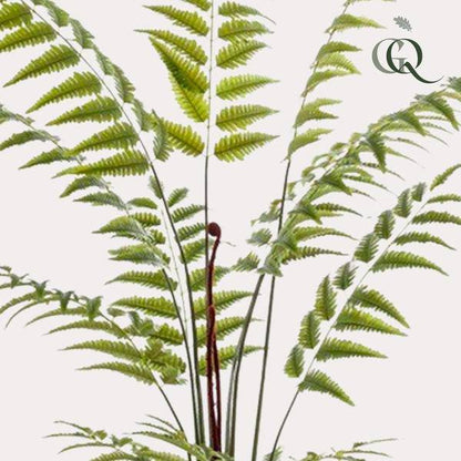 Kunstpflanze - Rumohra Adiantiformis - Lederfarn - 180 cm 