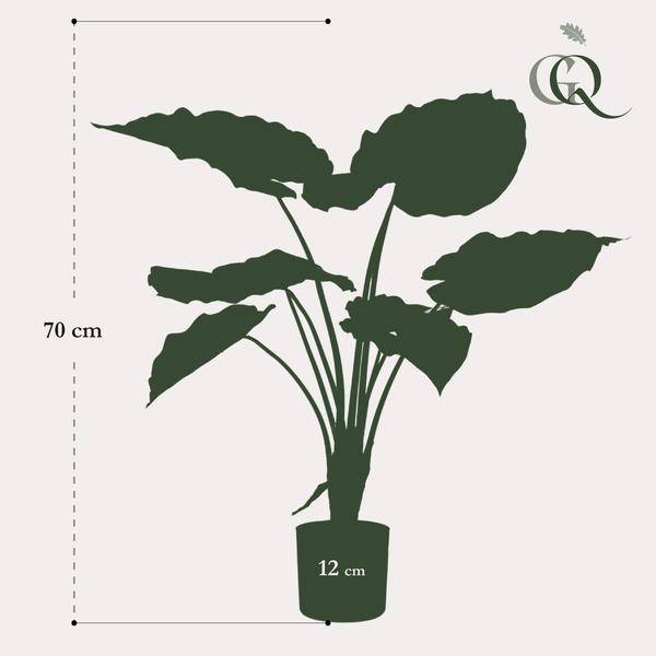 Kunstpflanze - Alocasia - 70 cm 