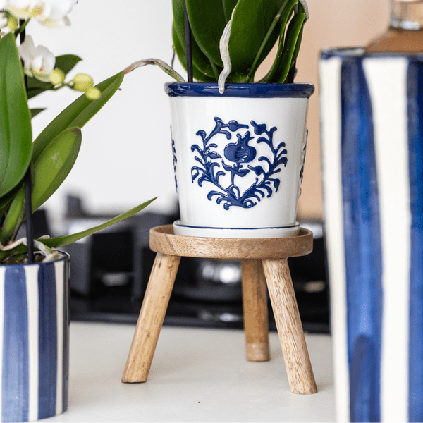Orchidee Amabilis Weiß – Zimmerpflanze mit 2–3 Stielen – Im Malaga Ziertopf Blau Ø9cm – Elegante Phalaenopsis für stilvolles Interieur & sommerliches Flair 