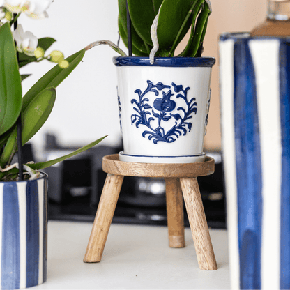 Orchidee Amabilis Weiß – Zimmerpflanze mit 2–3 Stielen – Im Malaga Ziertopf Blau Ø9cm – Elegante Phalaenopsis für stilvolles Interieur & sommerliches Flair 