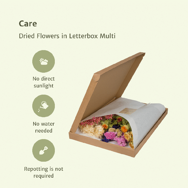 Trockenblumen im Briefkasten – Letterbox Multi – Trockenstrauß in Weiß, Beige & Hellrosa – Elegante Deko – Pflegefrei – Perfekt für Innenräume 