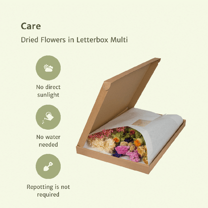 Trockenblumen im Briefkasten – Letterbox Multi – Trockenstrauß in Weiß, Beige & Hellrosa – Elegante Deko – Pflegefrei – Perfekt für Innenräume 