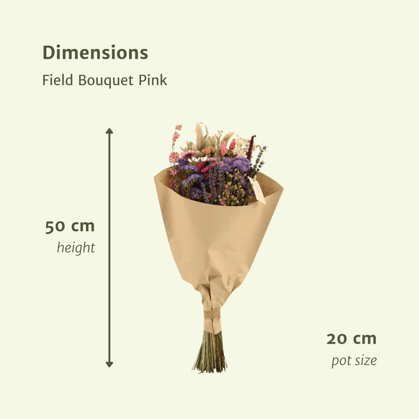 Trockenblumenstrauß – Feldblumen Rosa – Ø20cm ↕50cm – Getrocknete Blumen – Romantisch & Natürlich – Dekostrauß für Innenräume 