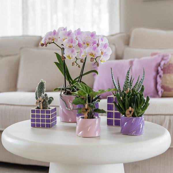 Candy Dekotopf - Rosa - Ø9cm 