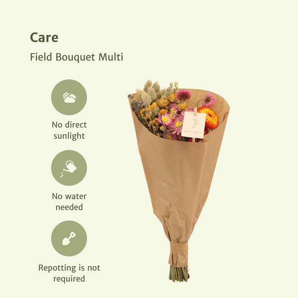 Trockenblumen - Blumenstrauß - Field Bouquet Multi - Trockener Strauß - 60cm - Ø25cm - 6 Stück 