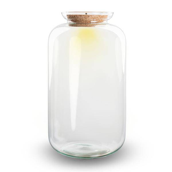Flaschengarten - Terrarium Flasche + LED in Kork - Sven XL - ↑43cm – Recyceltes Glas – Geschlossenes Terrarium – Mit Beleuchtung 