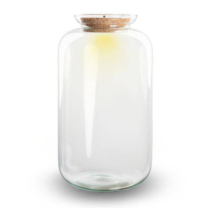 Flaschengarten - Terrarium Flasche + LED in Kork - Sven XL - ↑43cm – Recyceltes Glas – Geschlossenes Terrarium – Mit Beleuchtung 
