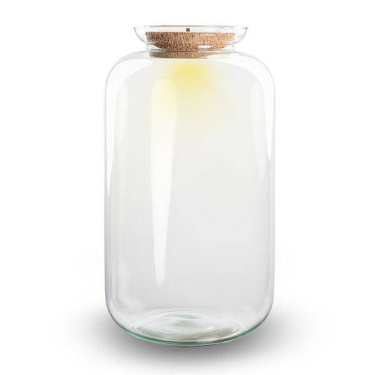 Flaschengarten - Terrarium Flasche + LED in Kork - Sven XL - ↑43cm – Recyceltes Glas – Geschlossenes Terrarium – Mit Beleuchtung 