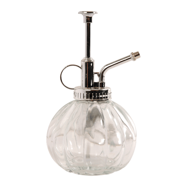 Pflanzensprüher Glas Klar/Silber – Ø8,8cm – ↕15,4cm – 0,25L – Dekorativer Handsprüher mit feinem Sprühnebel – Blumensprüher für Zimmerpflanzen & Orchideen 
