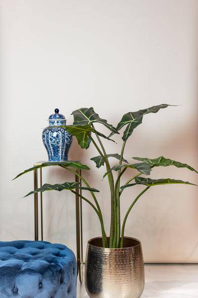 Kunstpflanze - Alocasia Frydek - 120 cm 