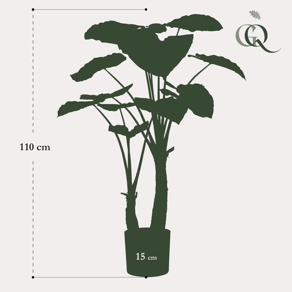 Alocasia – Künstliche Zimmerpflanze – Pfeilblätter – ↕110 cm – Tropische Deko für Wohnzimmer, Flur & Wintergarten 