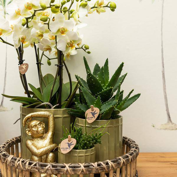 Ornament Dekoskulptur Sitzender Affe – Gold – Handgefertigte Polystone-Figur – 13cm – Verspieltes Dekoaccessoire für Zuhause und Pflanzensets 