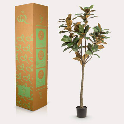 Kunstpflanze - Magnolia Grandiflora - 150 cm 
