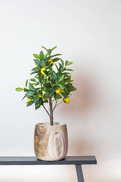 Kunstpflanze - Citrus Limonia - Zitronenbaum - 72 cm 