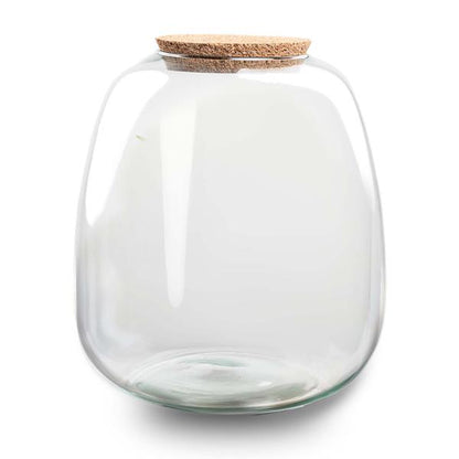 Terrarium Flasche 'Emma' 25x23 cm - Glasflasche 