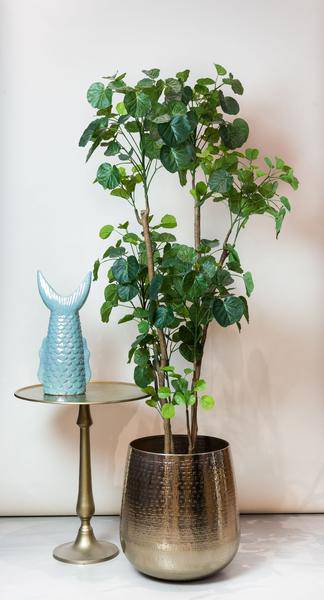 Kunstpflanze - Polyscias - Aralia - 160 cm 