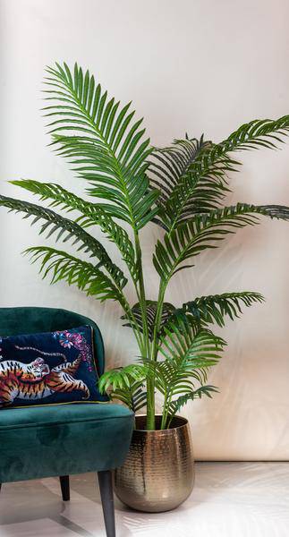 Kunstpalme Howea forsteriana – 160 cm – Realistische Kentia-Palme – Pflegefrei – Hypoallergen – Für Wohnzimmer, Büro & Wintergarten – Tropisches Deko-Highlight 