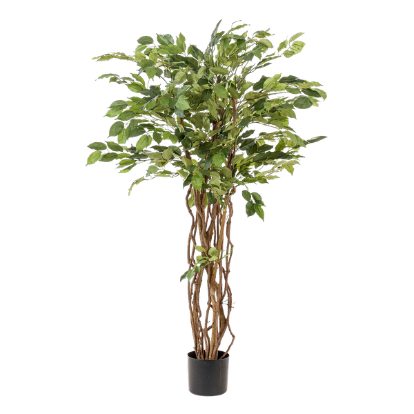 Ficus Liana – Künstliche Zimmerpflanze – ↕140 cm – Realistische Stiefmütterchen-Pflanze – Dekoration für Wohnzimmer, Flur & Wintergarten 