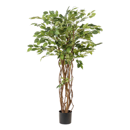 Ficus Liana – Künstliche Zimmerpflanze – ↕140 cm – Realistische Stiefmütterchen-Pflanze – Dekoration für Wohnzimmer, Flur & Wintergarten 