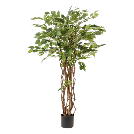 Ficus Liana – Künstliche Zimmerpflanze – ↕140 cm – Realistische Stiefmütterchen-Pflanze – Dekoration für Wohnzimmer, Flur & Wintergarten 