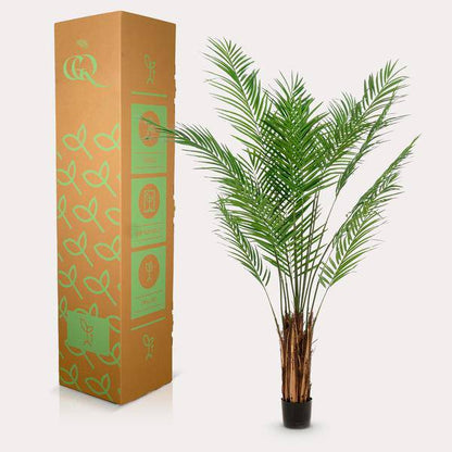 Kunstpflanze - Areca Lutescens - Goldpalme - 180 cm 