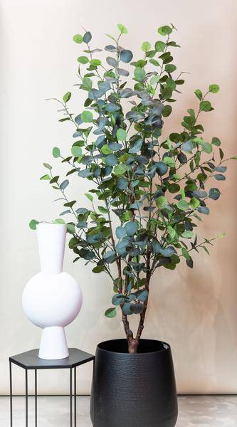 Kunstpflanze - Eukalyptusbaum - Blauer Gummibaum - 180 cm 