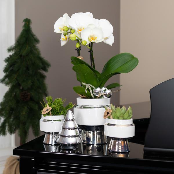 Le Chic Blumentopf Weiß mit silbernen Details – Dekorativer Keramiktopf Ø9cm – Eleganter Ziertopf für Orchideen & Grünpflanzen 