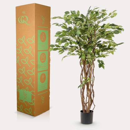 Ficus Liana – Künstliche Zimmerpflanze – ↕140 cm – Realistische Stiefmütterchen-Pflanze – Dekoration für Wohnzimmer, Flur & Wintergarten 