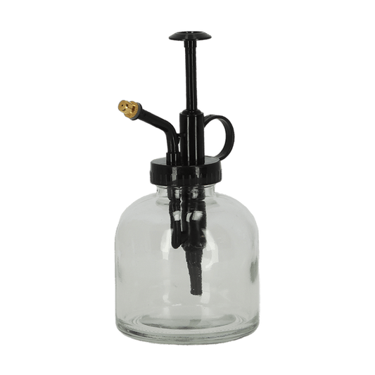 Pflanzensprüher - transparent - Glas - 200 ML 