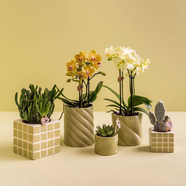 Candy Dekotopf - Grün - Ø9cm 