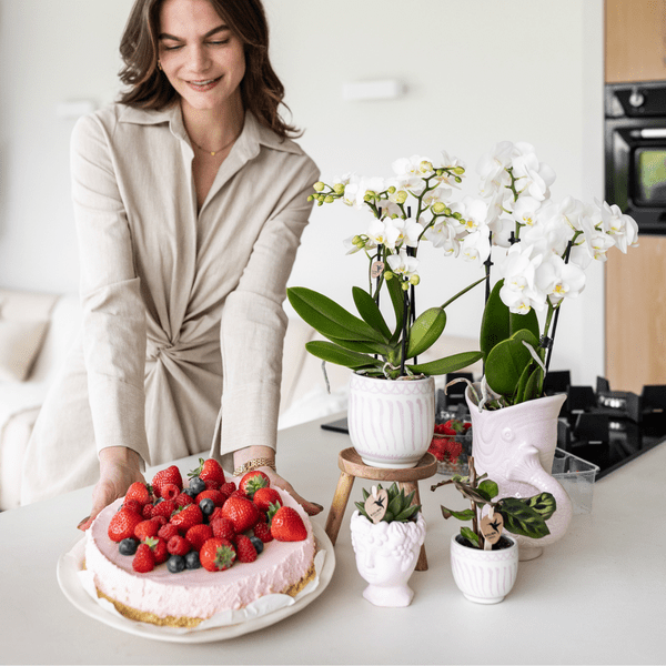 Topf Granada – Rosa – Ø6cm – Dekorativer Keramiktopf – Mediterranes Design – Glasiert & langlebig – Für Zimmerpflanzen & Deko 