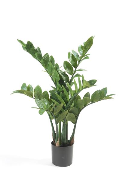 Kunstpflanze - Zamioculcas - Zimmerpalme - 70 cm 