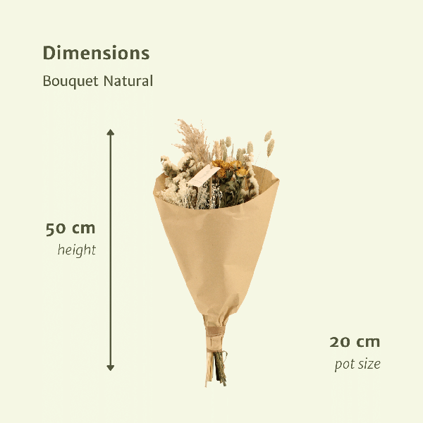 Trockenblumenstrauß – Feldblumen Natürlich – Ø20 cm – 50 cm hoch – Getrocknete Blumen & Graswedel – Natürliche Beigetöne & Weiß – Dekorative Trockenblumen für Innenräume 