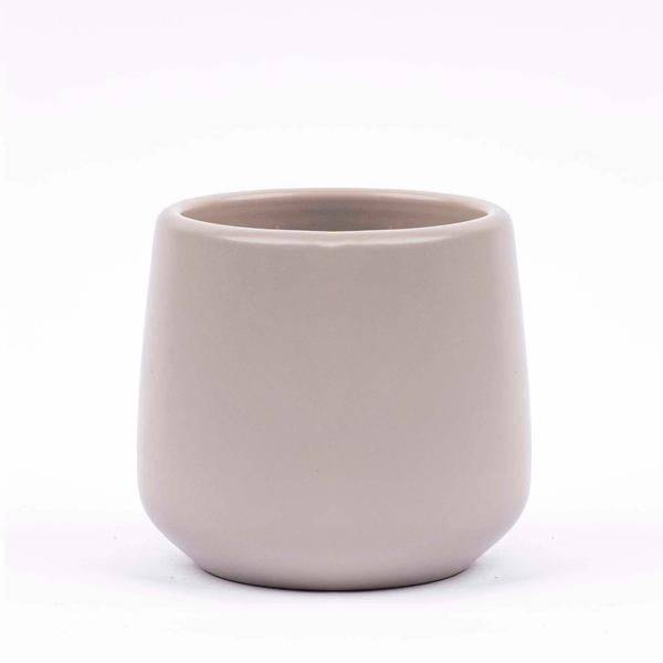 Zimmerpflanzen Set – 6 Pflanzen + Keramiktopf „Joey“ Grau Matt – Mini Urban Jungle – Pflegeleicht – Hedera, Farn, Bonsai u.a. – Topf Ø8 cm 