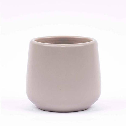 Zimmerpflanzen Set – 6 Pflanzen + Keramiktopf „Joey“ Grau Matt – Mini Urban Jungle – Pflegeleicht – Hedera, Farn, Bonsai u.a. – Topf Ø8 cm 