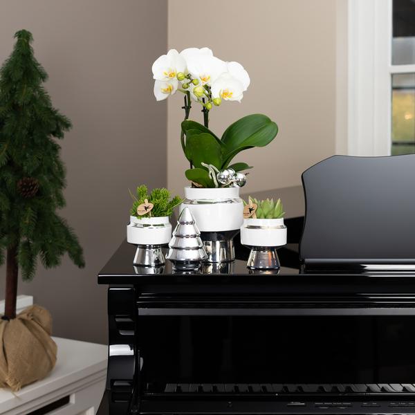 Le Chic Blumentopf Weiß mit silbernen Details – Dekorativer Keramiktopf Ø9cm – Eleganter Ziertopf für Orchideen & Grünpflanzen 