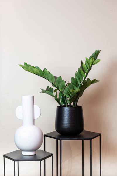 Kunstpflanze - Zamioculcas - Zimmerpalme - 70 cm 