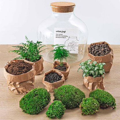 Flaschengarten - DIY - Fat Joe Grün - ↕ 30 cm 