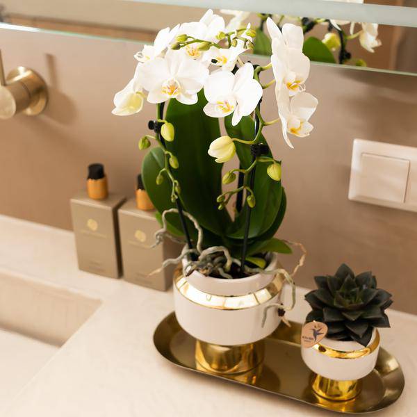 Le Chic Blumentopf – Weißer Keramiktopf mit goldenen Details – Ø9cm – Eleganter Ziertopf für Orchideen & Grünpflanzen – Stilvoller Deko-Übertopf 