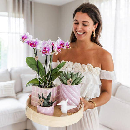 Candy Dekotopf Rosa – Ø6cm – Runder Keramik Blumentopf – Moderner Mini Blumentopf für Orchideen & kleine Zimmerpflanzen – Dekoration für Wohnzimmer, Küche & Büro 