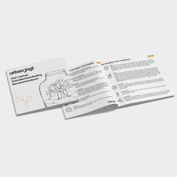 Flaschengarten-Set - Calathea Lancifolia - Nachfüllpackung & Starter-Kit-DIY 