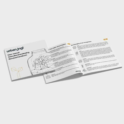 Flaschengarten-Set - Calathea Lancifolia - Nachfüllpackung & Starter-Kit-DIY 