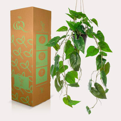 Kunstpflanze - Philodendron Hängepflanze - 80 cm 