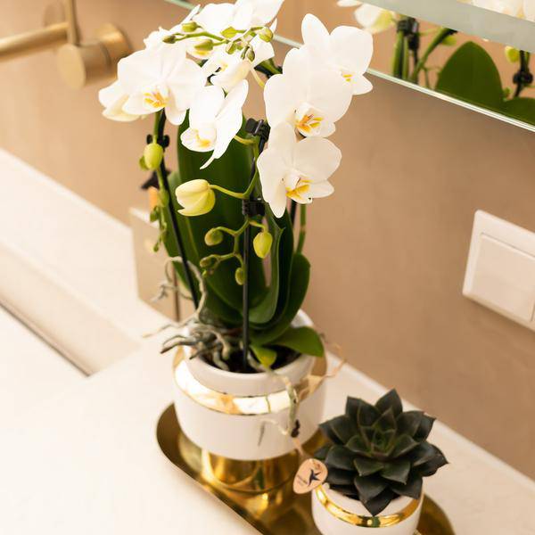 Le Chic Blumentopf – Weißer Keramiktopf mit goldenen Details – Ø6cm – Eleganter Ziertopf für Orchideen & Grünpflanzen – Glänzende Dekoration fürs Zuhause 